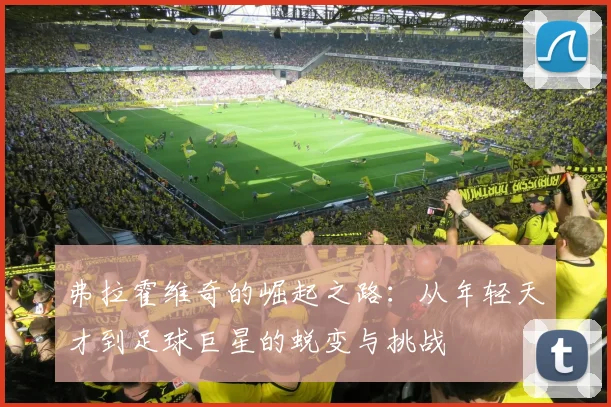 弗拉霍维奇的崛起之路：从年轻天才到足球巨星的蜕变与挑战