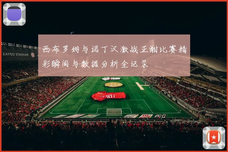 西布罗姆与诺丁汉激战正酣比赛精彩瞬间与数据分析全记录