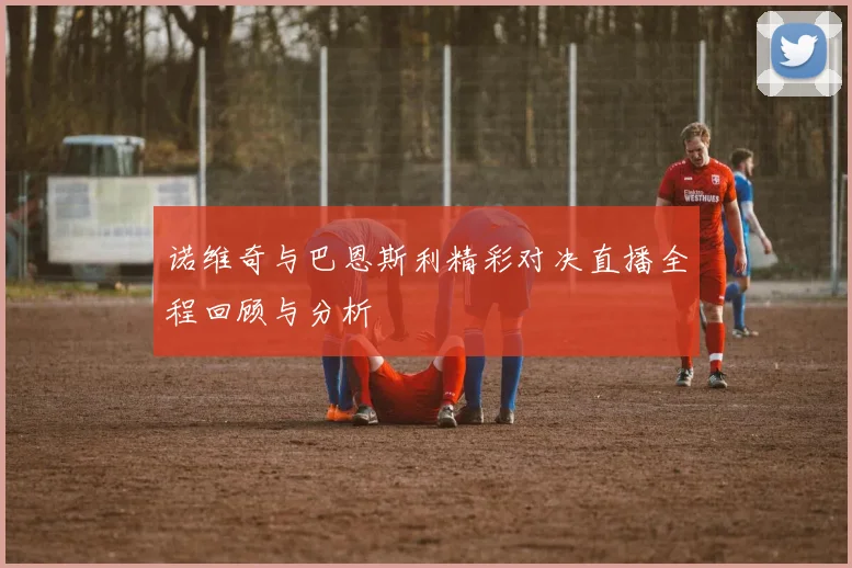 诺维奇与巴恩斯利精彩对决直播全程回顾与分析